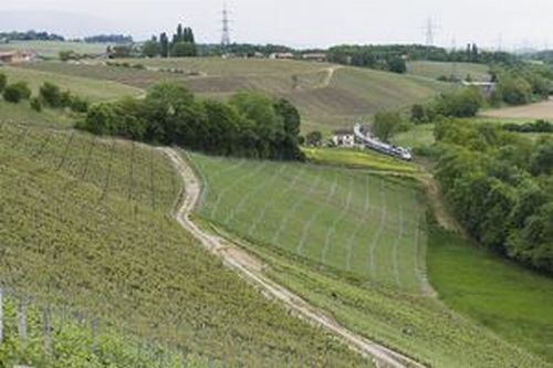 スイス2008-2.jpg