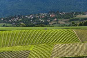 スイス2008-6.jpg